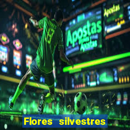 Flores silvestres brasileiras brasileiras flores silvestres nomes e imagens